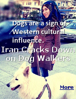 Iran�s government has also long seen pet dogs as a sign of Western cultural influence. And much of the opposition to dogs in Iran stems from religious beliefs, with dogs considered to be �najes,� or impure, in Islam. Ayatollah Ali Khamenei, Iran�s supreme leader, had issued a fatwa, or religious order, explaining the logic: A dog�s saliva or hair would render anything it touched, like a person, clothing or a surface, impure.